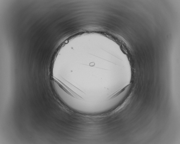 X0000111161065200908111149