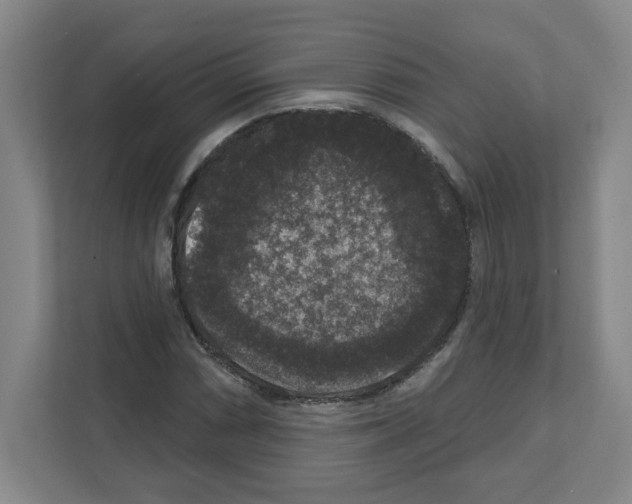 X0000111161066200908111149