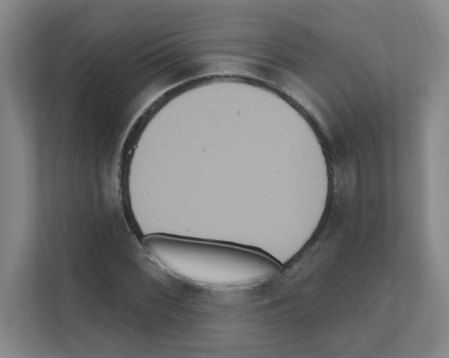 X0000111161068200908111149