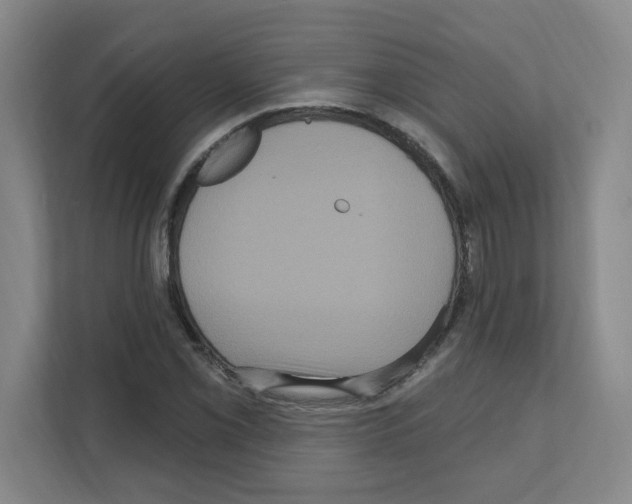 X0000111161069200908111149