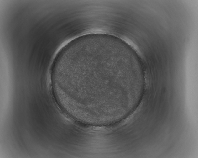 X0000111161070200908111149