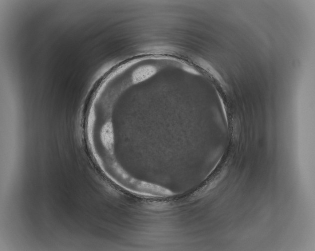 X0000111161071200908111149