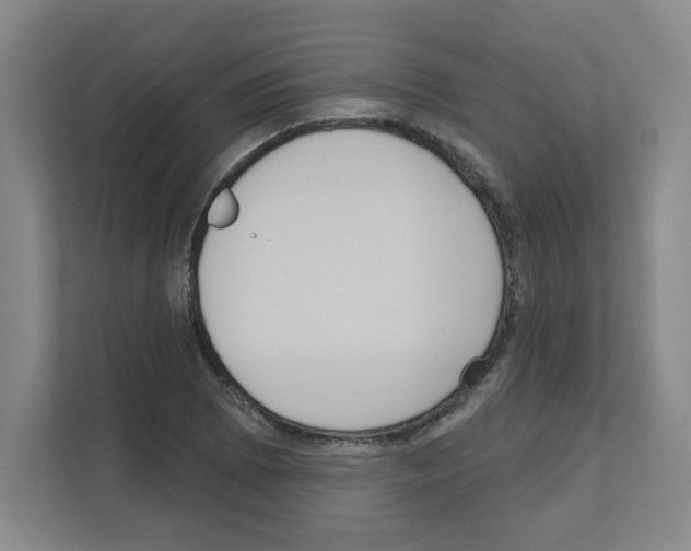 X0000111161073200908111149