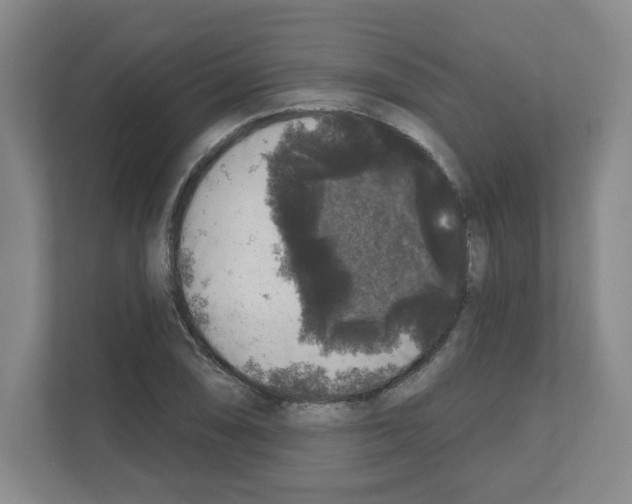 X0000111161074200908111149