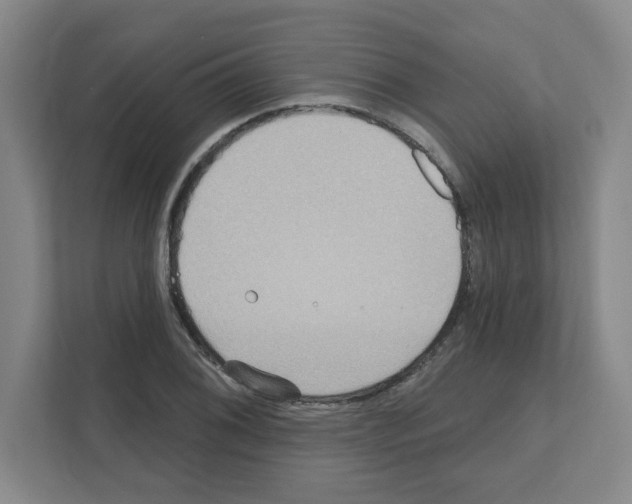 X0000111161076200908111149