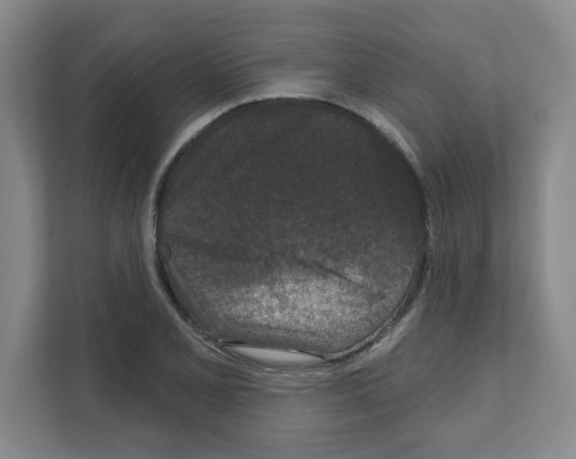 X0000111161077200908111149