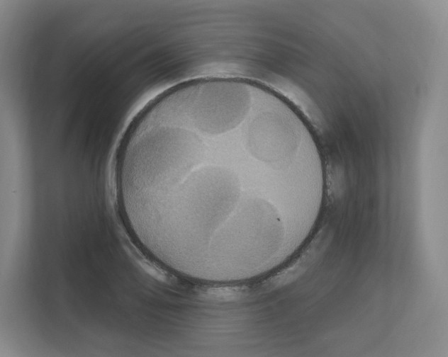 X0000111161078200908111149