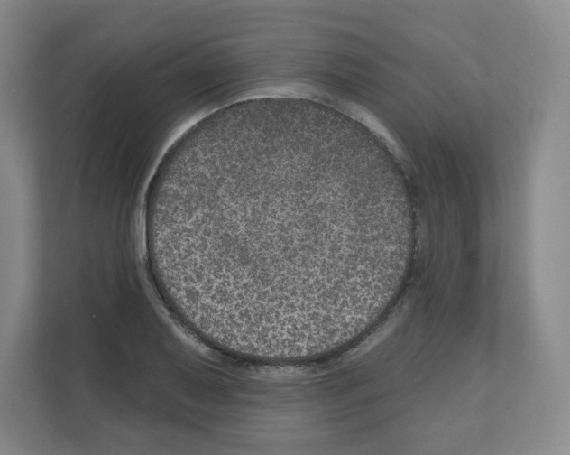 X0000111161079200908111149