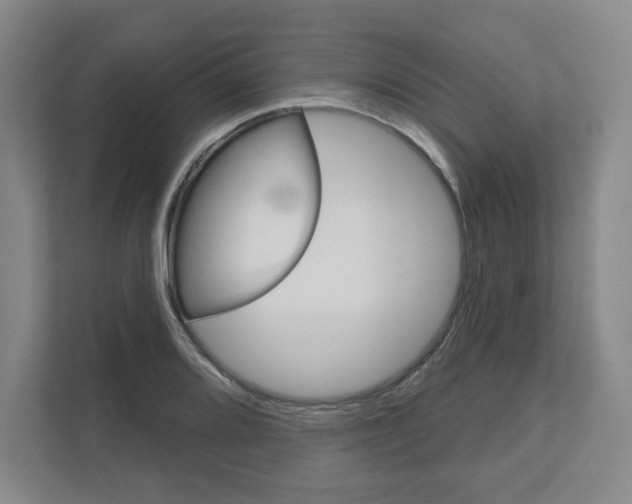 X0000111161080200908111149