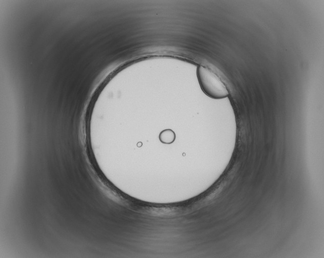 X0000111161082200908111149