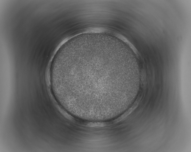 X0000111161083200908111149
