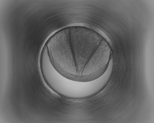X0000111161084200908111149