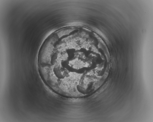 X0000111161087200908111149