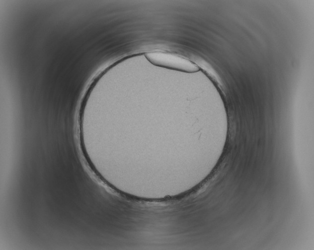 X0000111161088200908111149