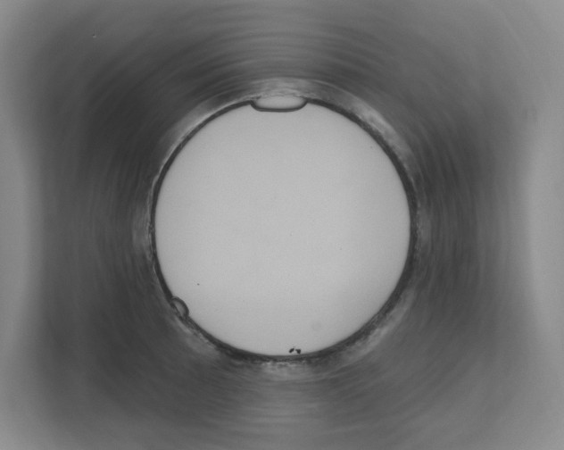 X0000111161089200908111149