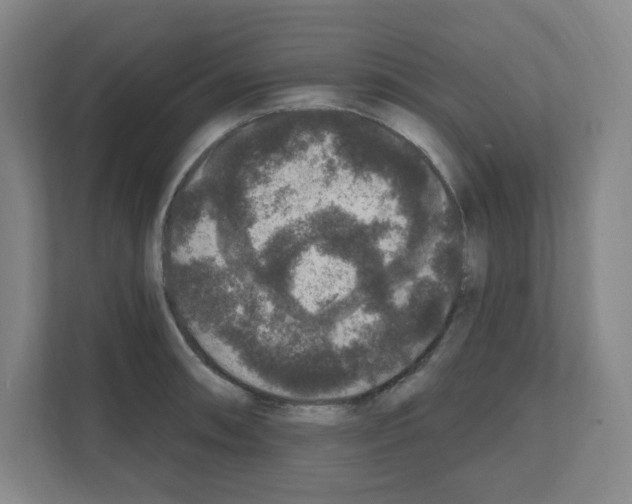 X0000111161090200908111149