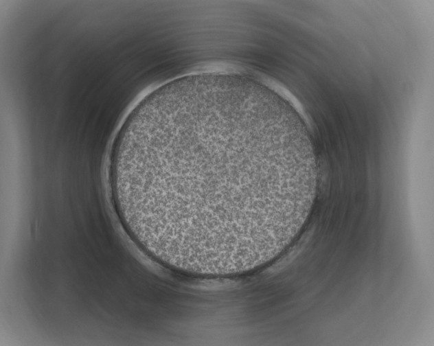 X0000111161091200908111149