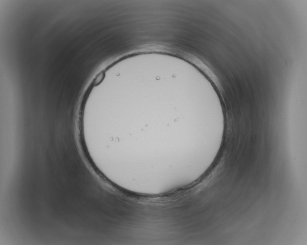 X0000111161093200908111149