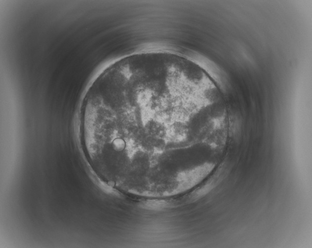 X0000111161094200908111149