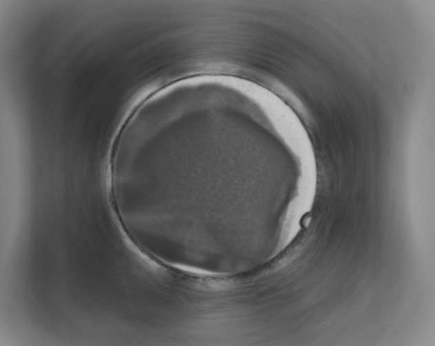 X0000111161095200908111149