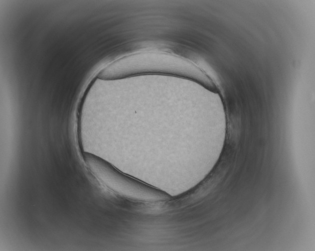 X0000111161096200908111149