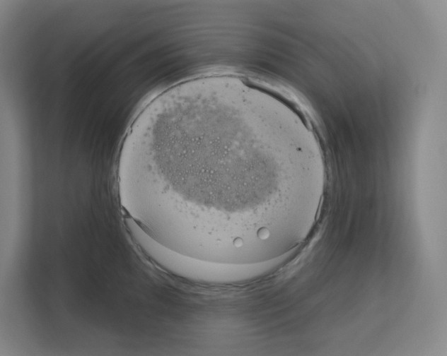 X0000111161097200908111149