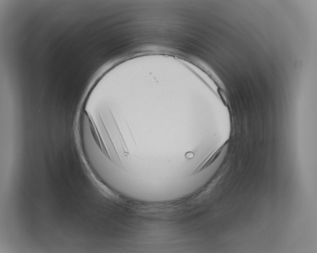 X0000111161098200908111149