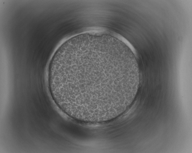 X0000111161099200908111149