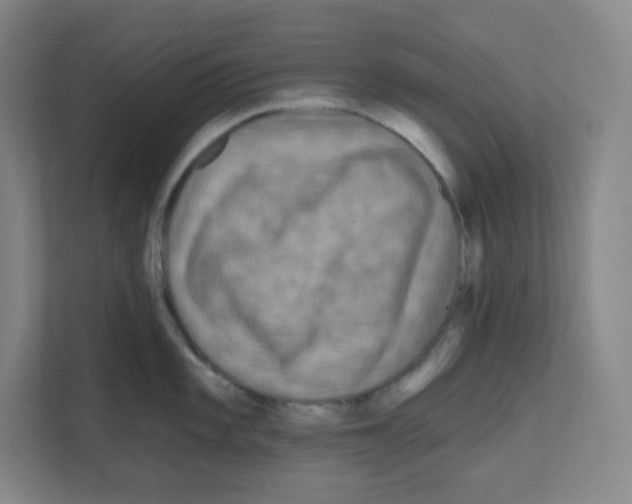 X0000111161101200908111149