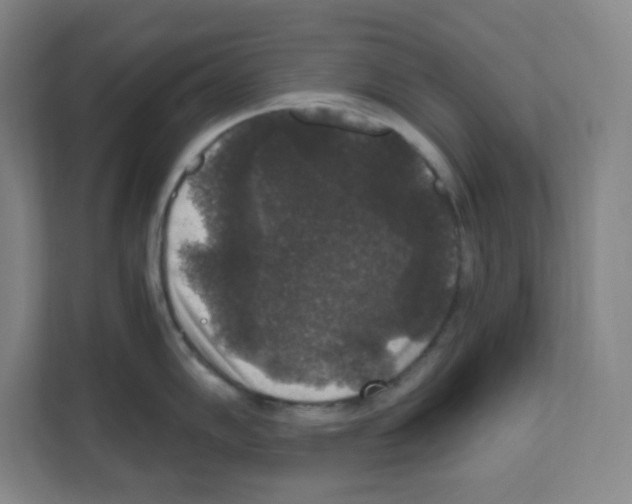 X0000111161102200908111149