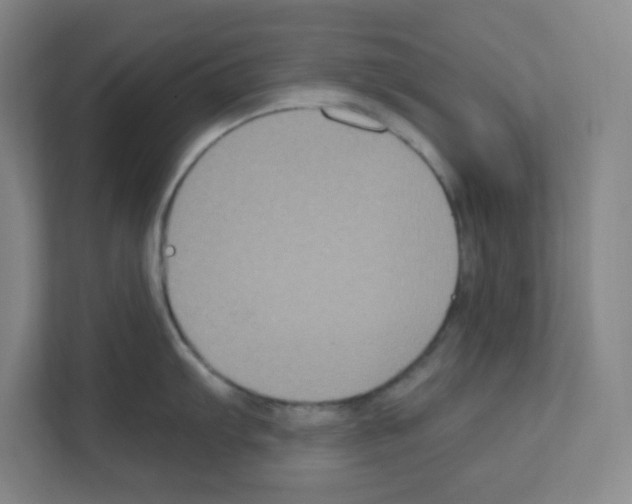 X0000111161103200908111149
