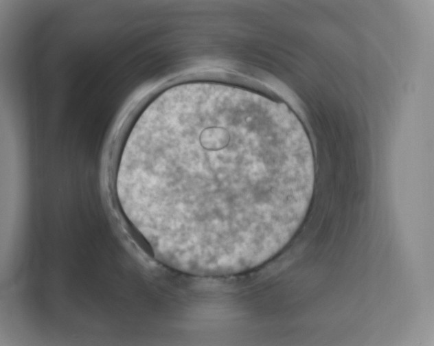 X0000111161104200908111149
