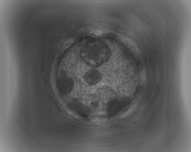 X0000111161105200908111148