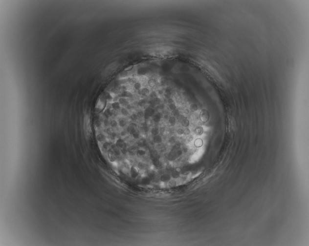 X0000111161106200908111148
