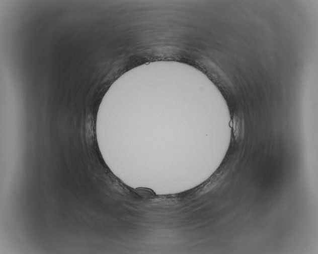 X0000111161107200908111148