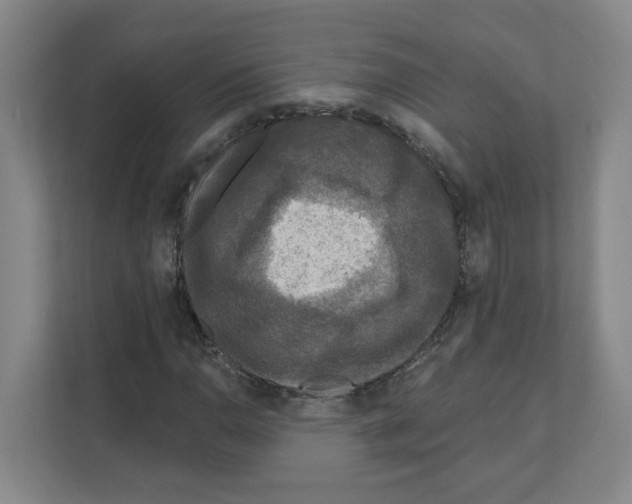 X0000111161110200908111148