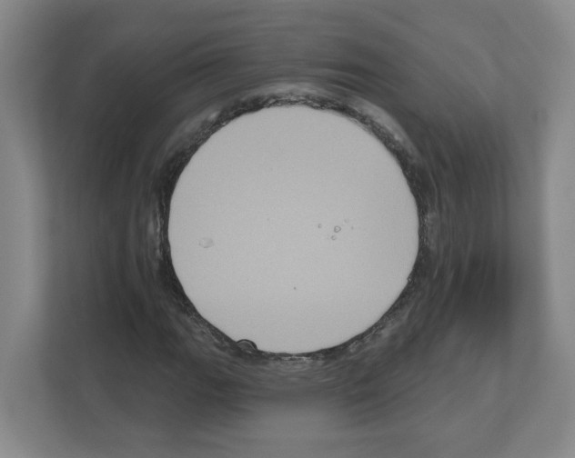X0000111161111200908111148