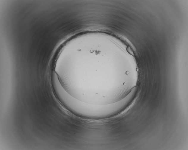 X0000111161114200908111148