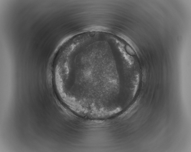 X0000111161115200908111148