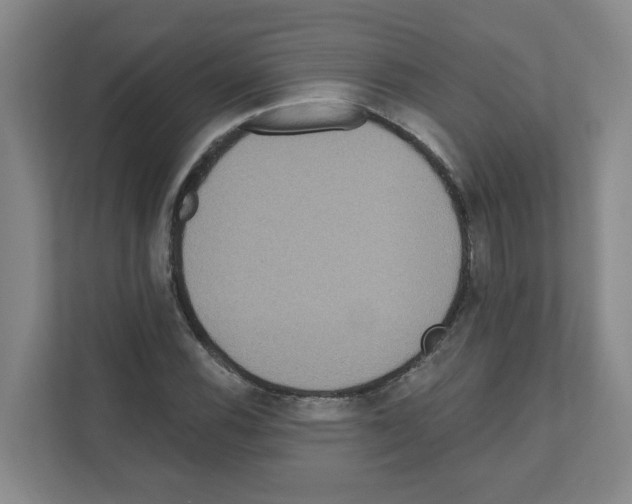 X0000111161116200908111148