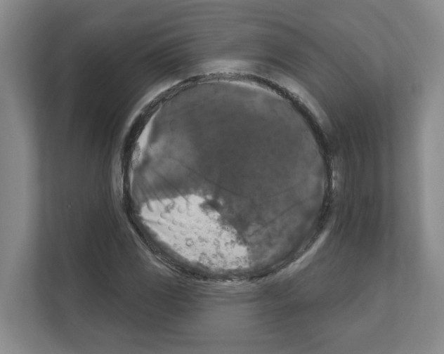 X0000111161117200908111148