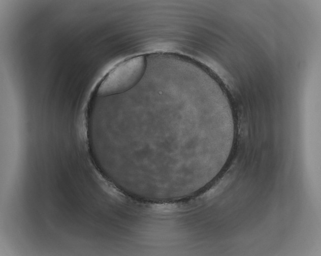 X0000111161118200908111148