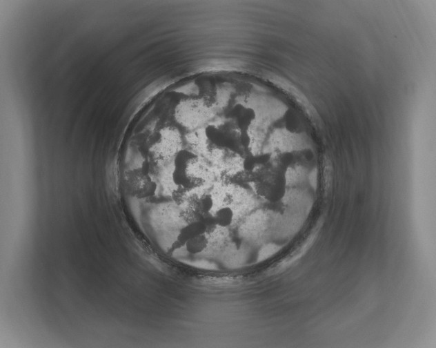 X0000111161121200908111148