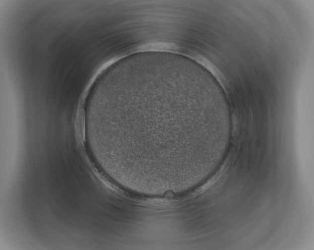 X0000111161123200908111148