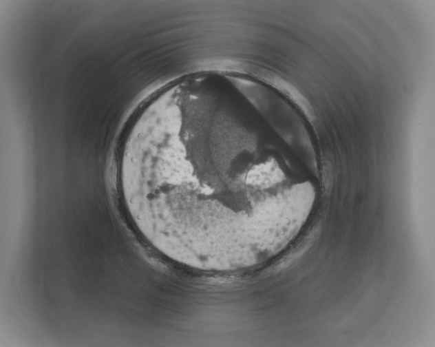 X0000111161125200908111148