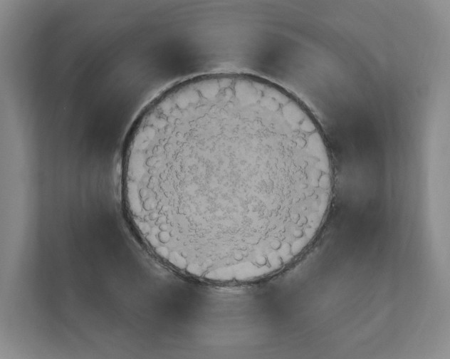 X0000111161126200908111148