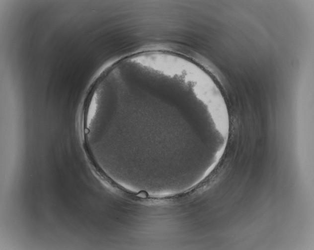 X0000111161127200908111148