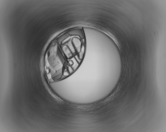 X0000111161128200908111148