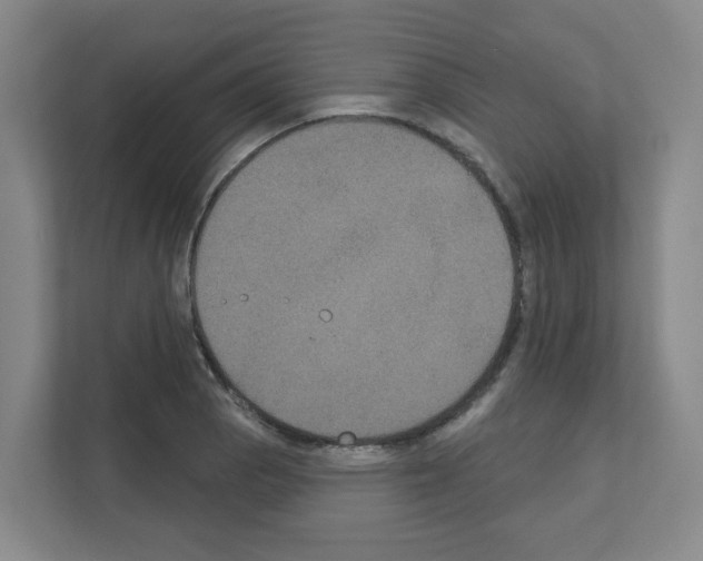 X0000111161129200908111148