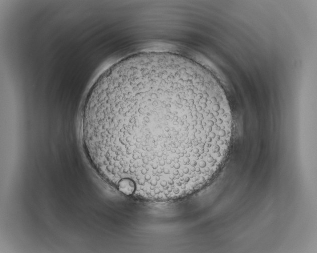 X0000111161130200908111148